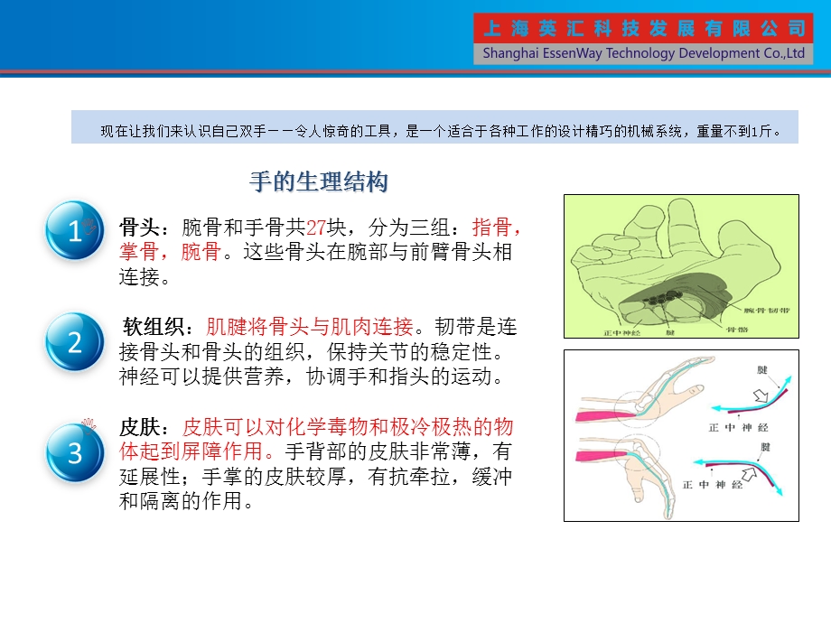 公司部门手部伤害安全培训课件.pptx_第3页