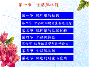 运动生理 骨骼肌机能课件.ppt