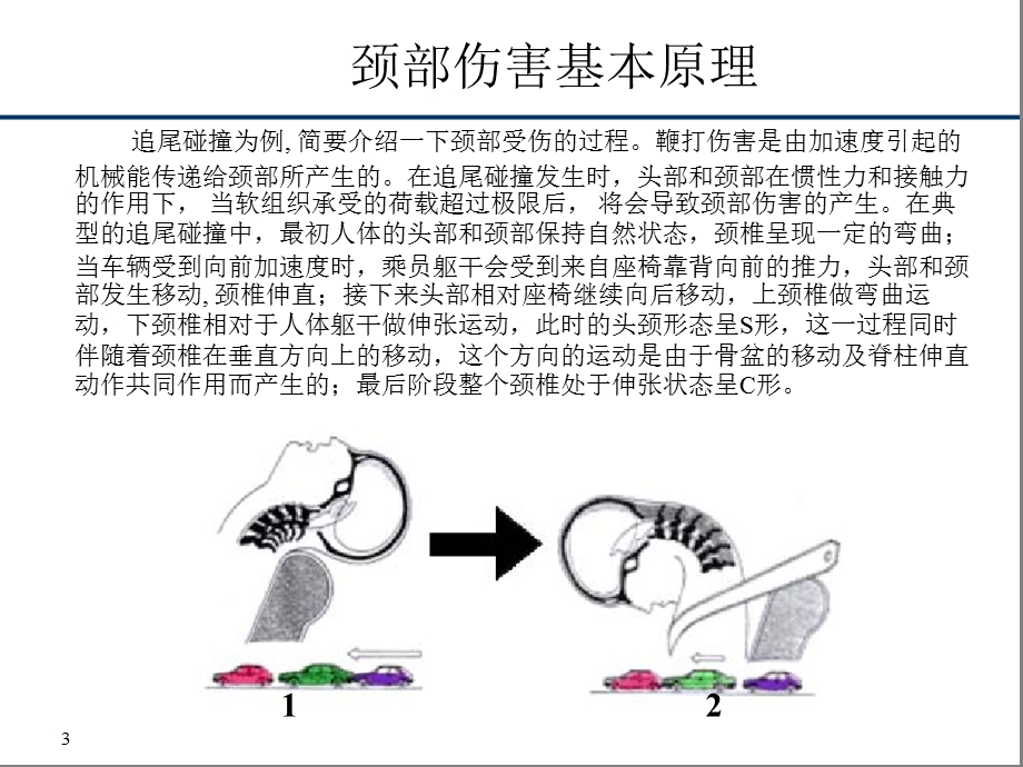 鞭打试验流程教材课件.ppt_第3页