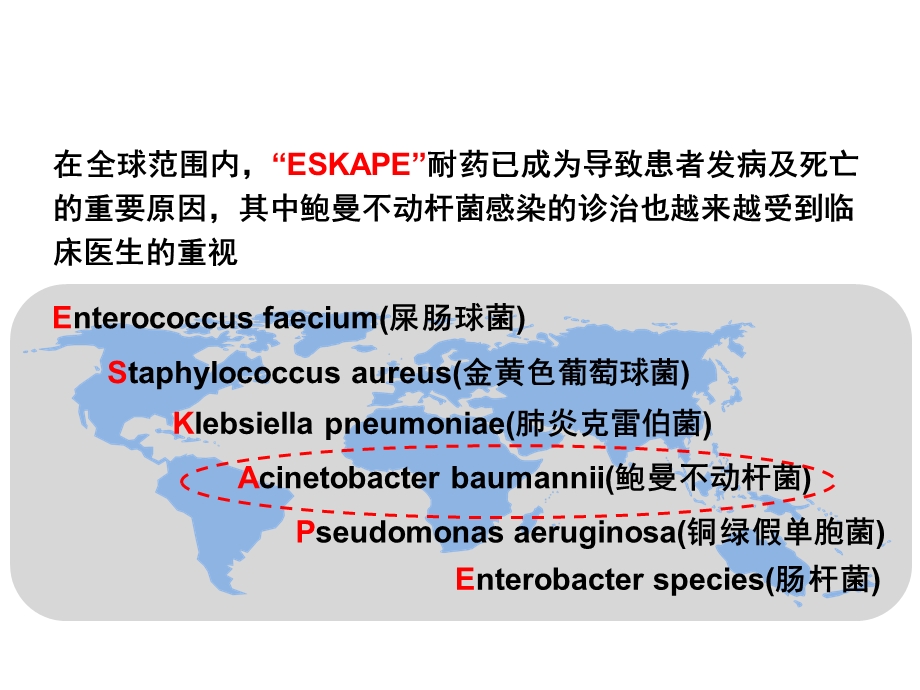 鲍曼不动杆菌专家共识解读ppt课件.ppt_第2页