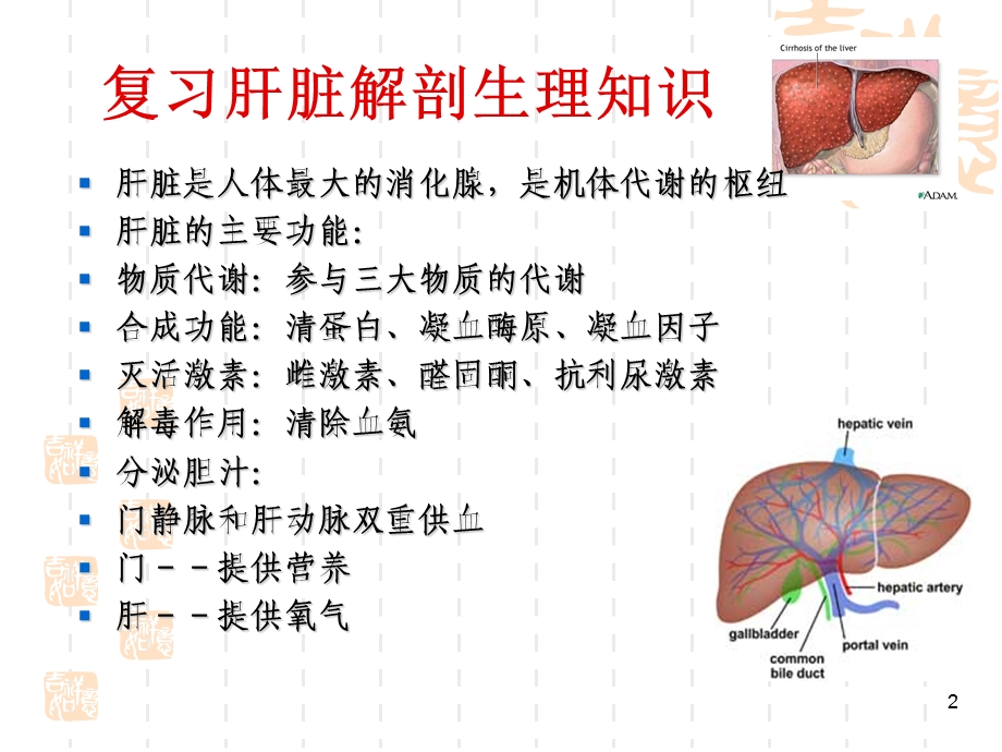 内科护理学肝硬化病人护理课件.ppt_第2页