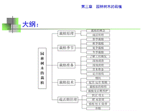 园林树木栽植课件.ppt