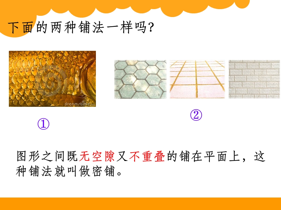 北师大版四年级数学下册密铺课件.ppt_第2页