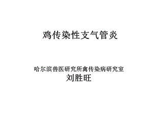 鸡传染性支气管炎课件.pptx