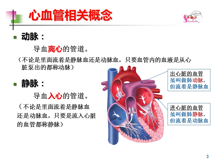 高血压性心脏病的超声诊断要点课件.ppt_第3页