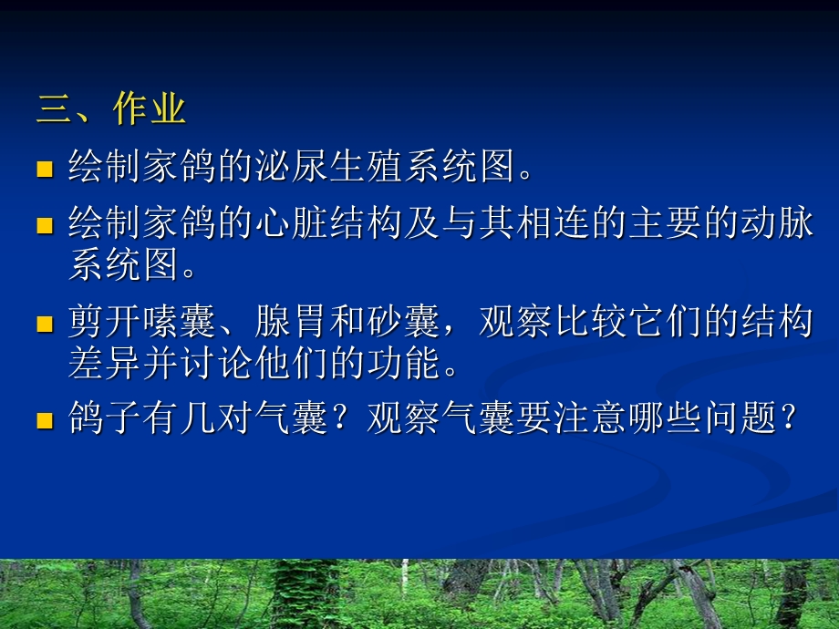 实验5鸽子的解剖课件.ppt_第3页