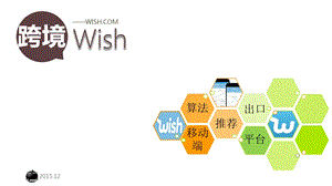 跨境电商Wish模式课件.ppt