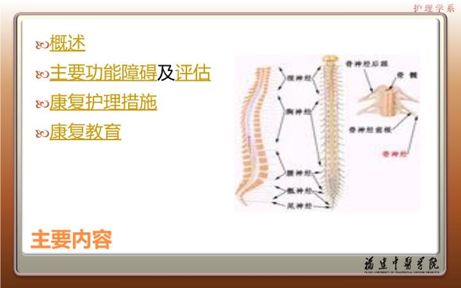 常见疾病的康复护理脊髓损伤课件.ppt_第3页