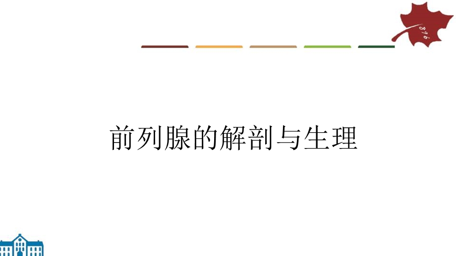 直肠指诊前列腺指诊课件.ppt_第3页