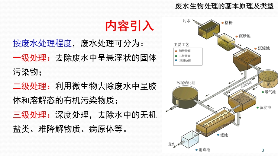 废水生物处理的基本原理及类型课件.ppt_第3页