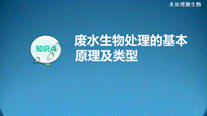 废水生物处理的基本原理及类型课件.ppt