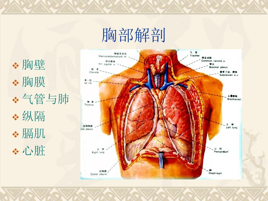 胸部创伤课件.ppt_第3页