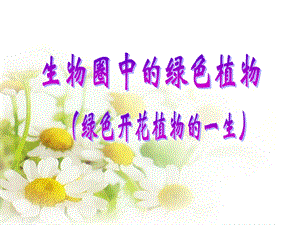 复习绿色开花植物的一生课件.ppt