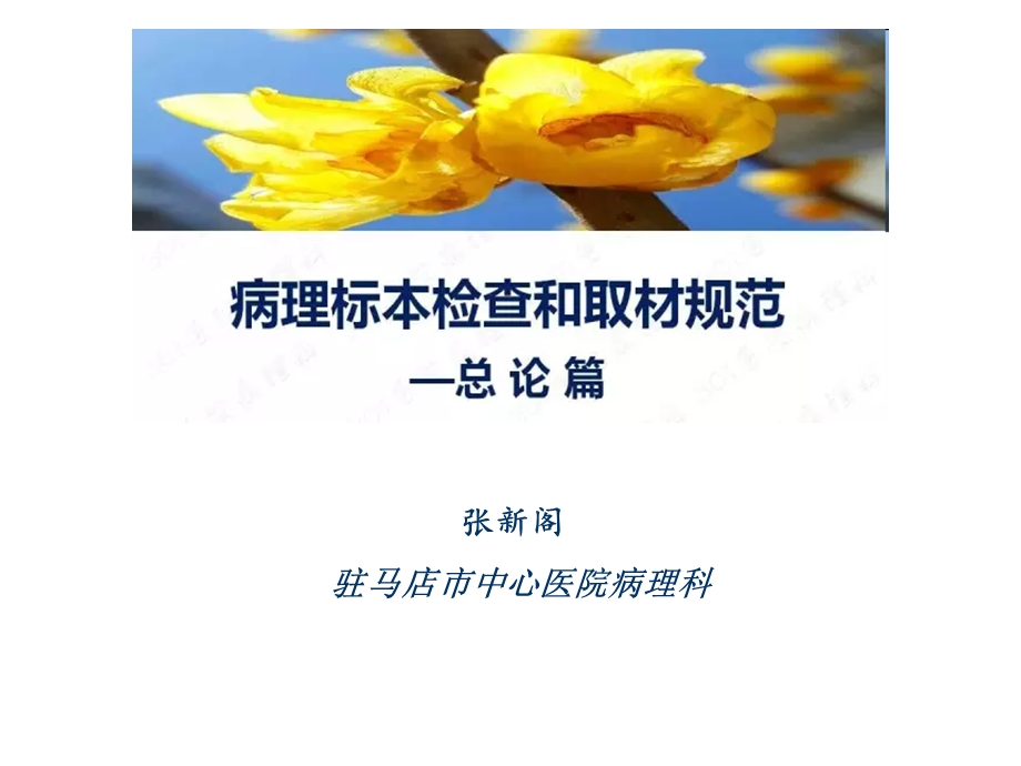 病理科诊疗指南与操作规范培训课件.ppt_第2页