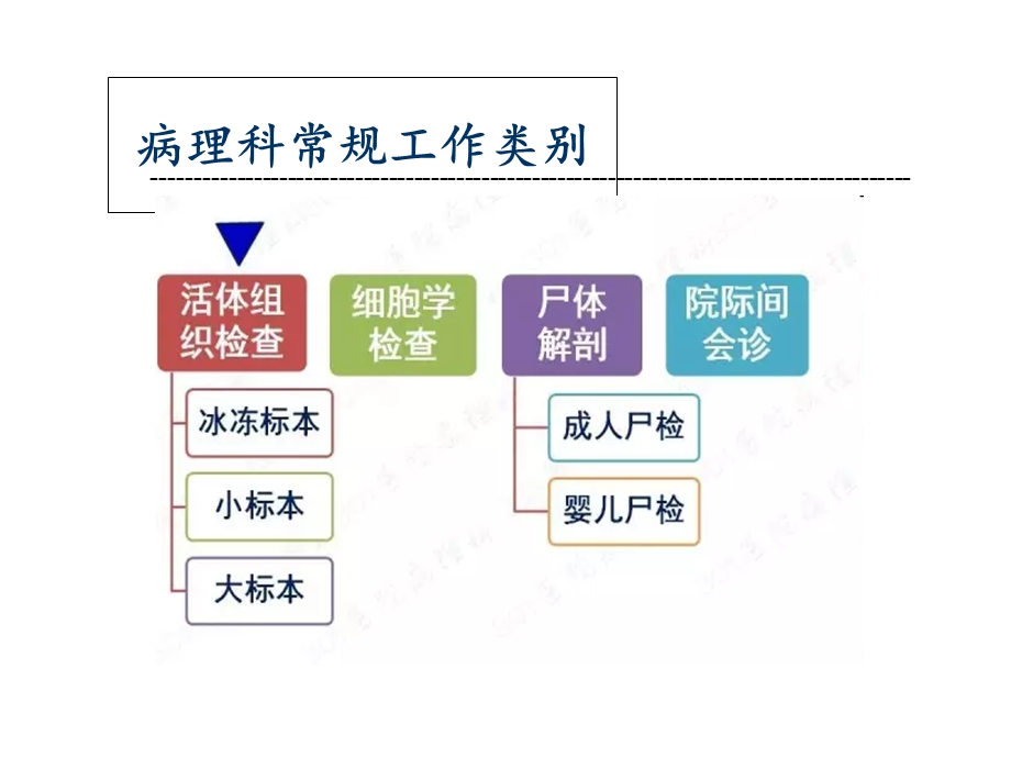 病理科诊疗指南与操作规范培训课件.ppt_第3页