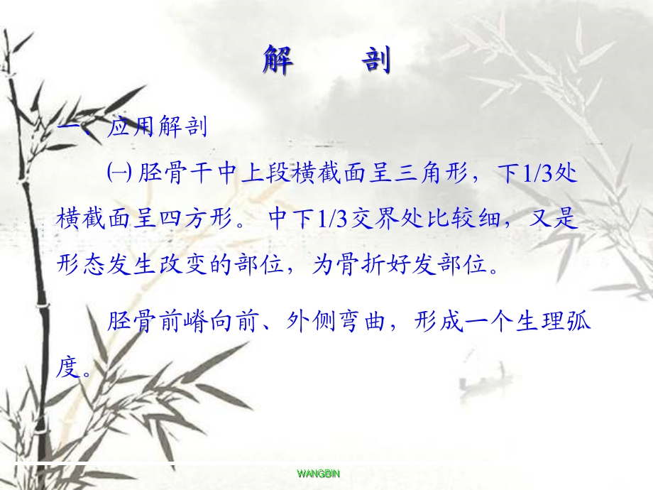 胫腓骨干骨折课件.ppt_第3页