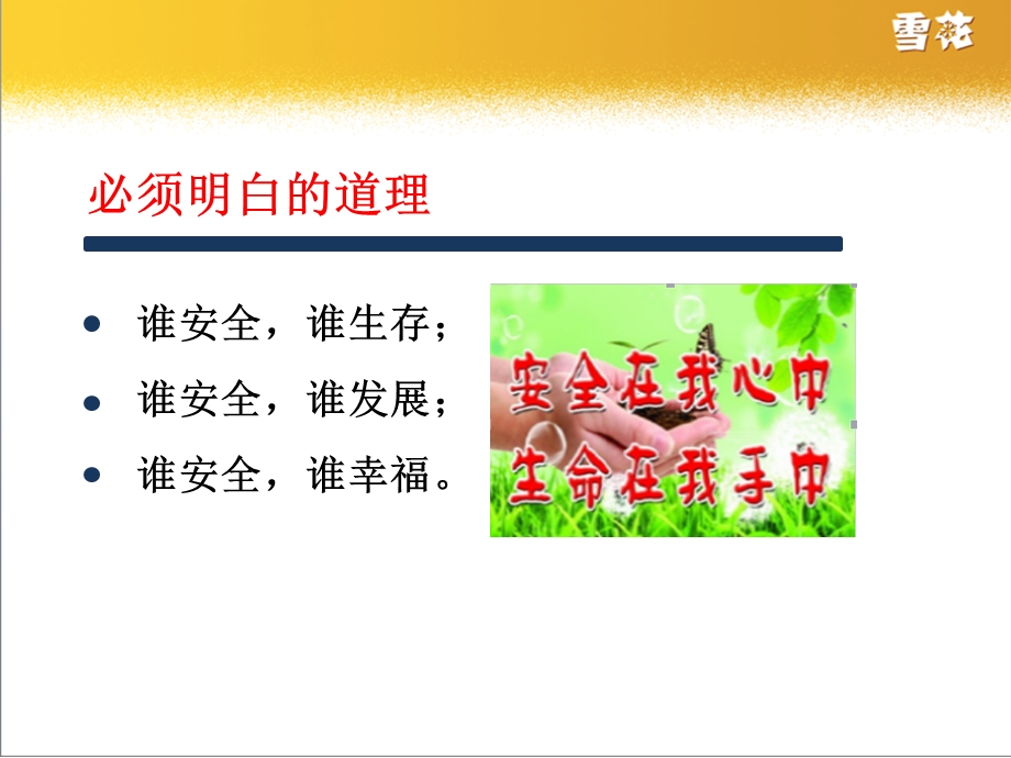 营销人员安全培训课件.ppt_第2页