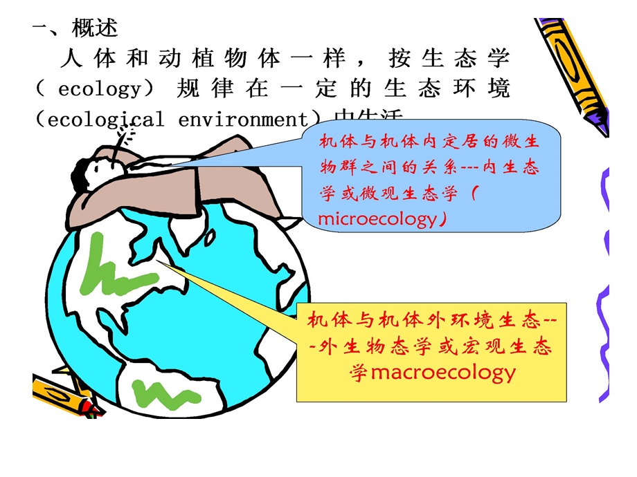 调节肠道菌群的功能性食品课件.ppt_第2页