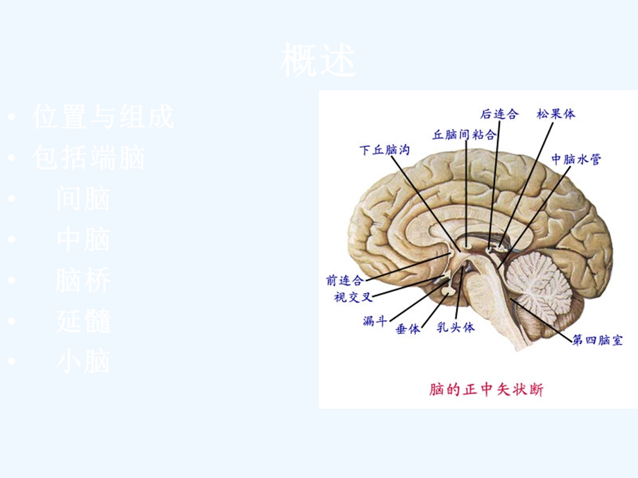 神经外科教学课件.ppt_第2页