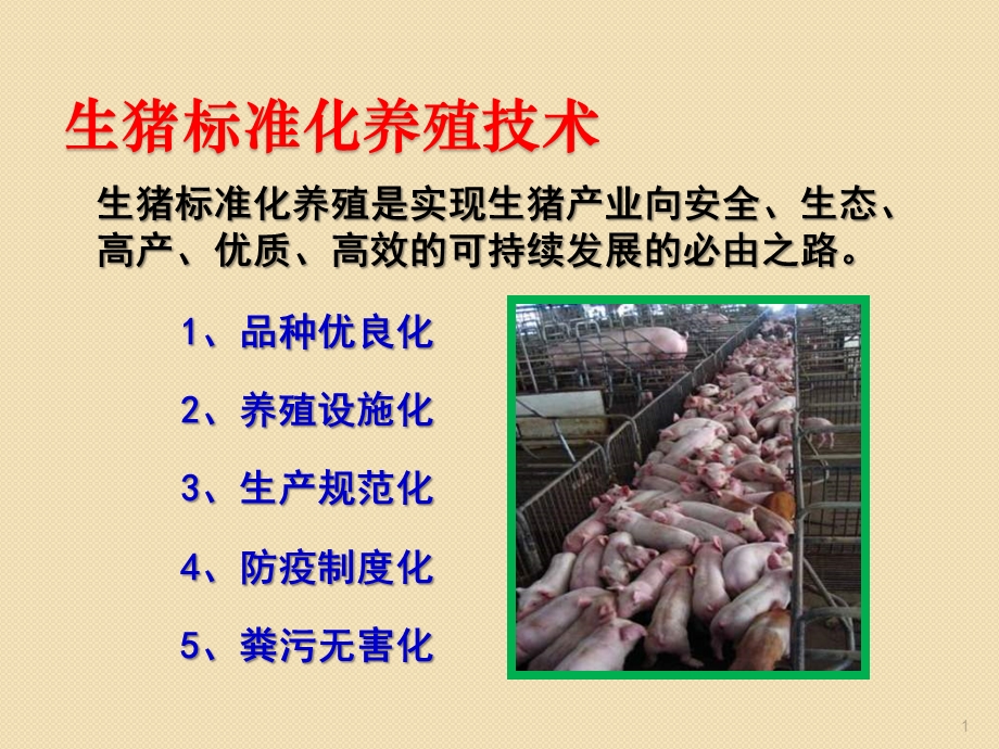 生猪养殖培训稿课件.ppt_第1页