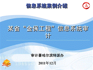 某省金保工程信息系统审计案例信息系统案例介课件.ppt