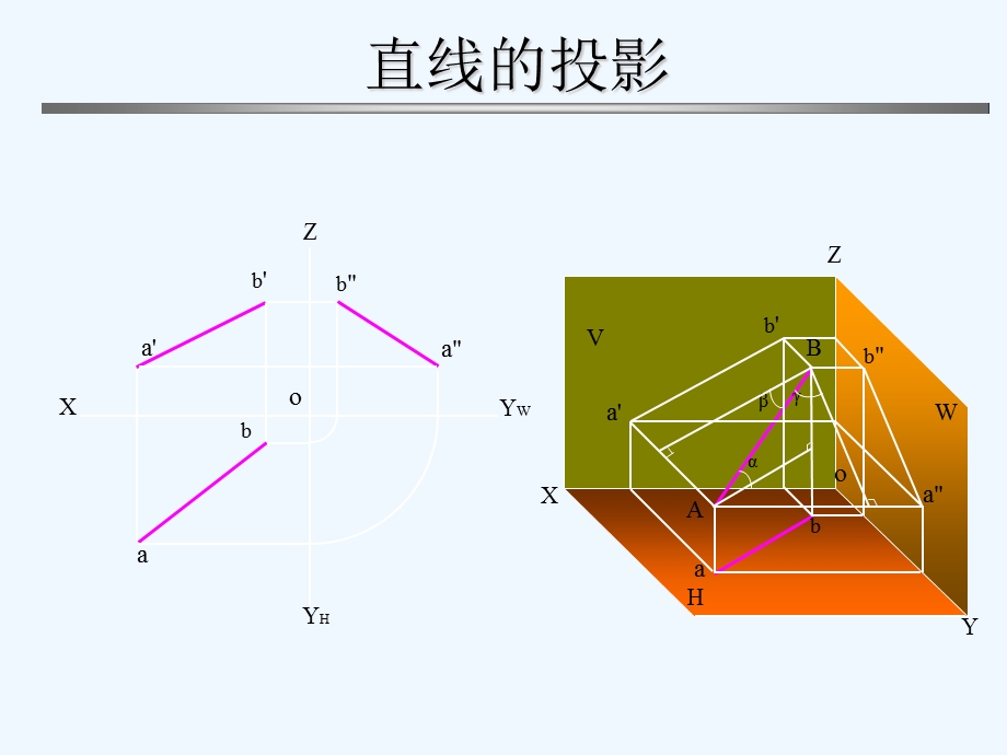 工程制图基础直线的投影课件.ppt_第2页