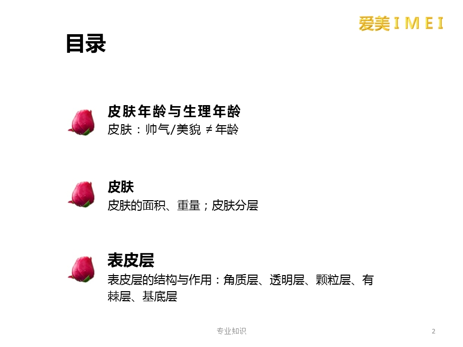 表皮层皮肤专业荟萃课件.ppt_第2页