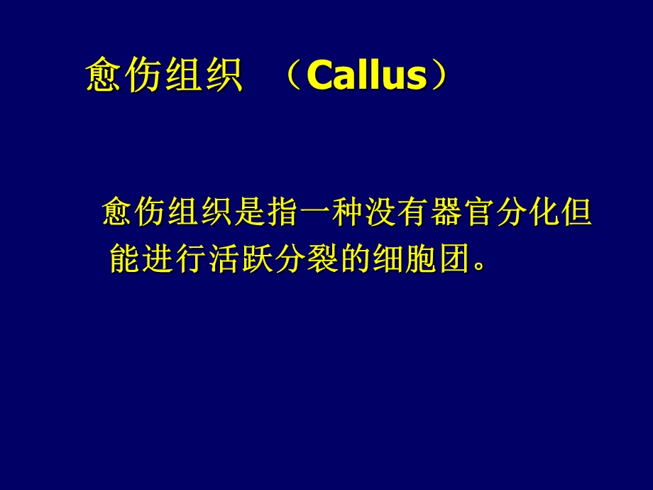 植物组织培养技术在农业中应用课件.ppt_第3页