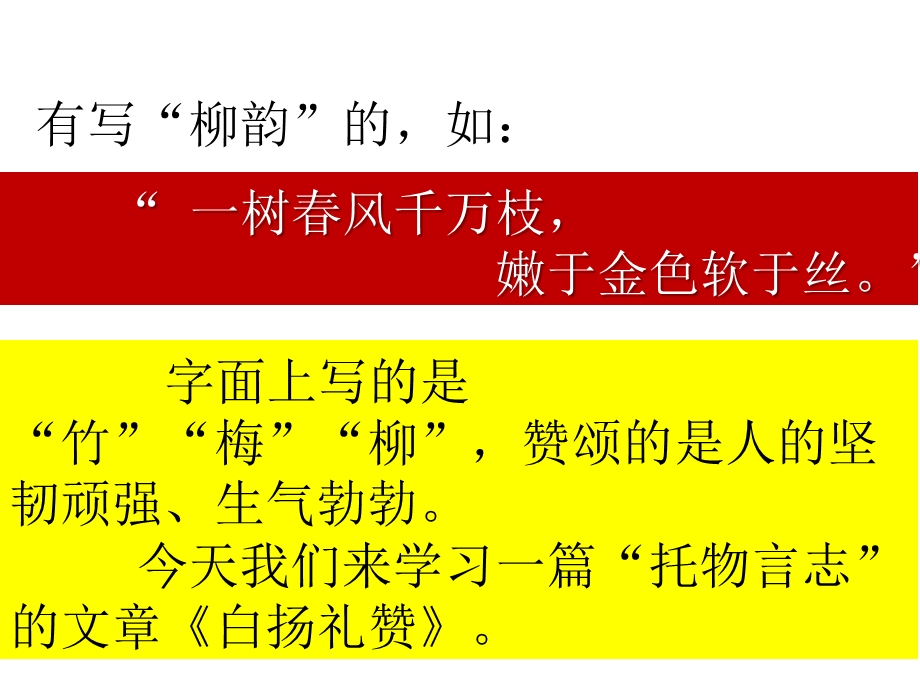 白杨礼赞优秀课件.ppt_第2页