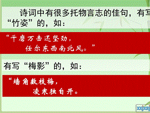 白杨礼赞优秀课件.ppt