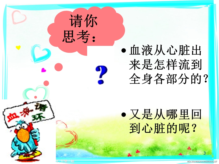 血液循环途径课件.ppt_第3页