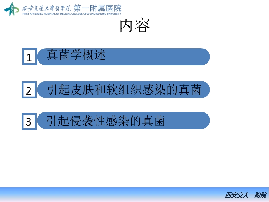 真菌基础及常见真菌的鉴定课件.pptx_第2页