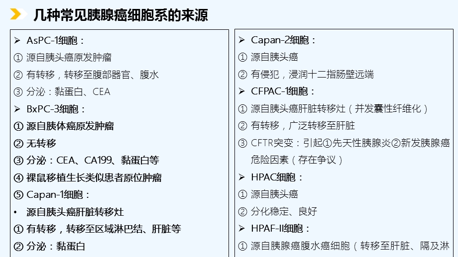 胰腺癌细胞系的表型及基因型介绍课件.ppt_第3页