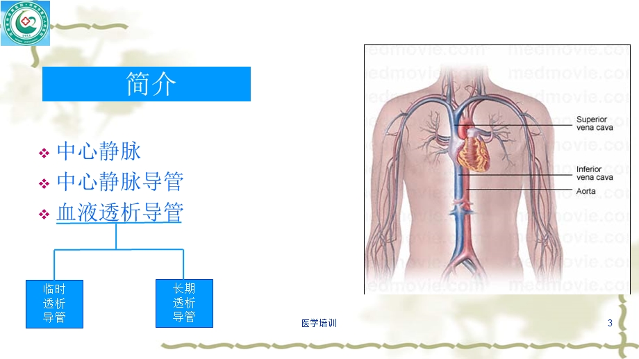 血液透析中心静脉导管(讲座类)课件.ppt_第3页