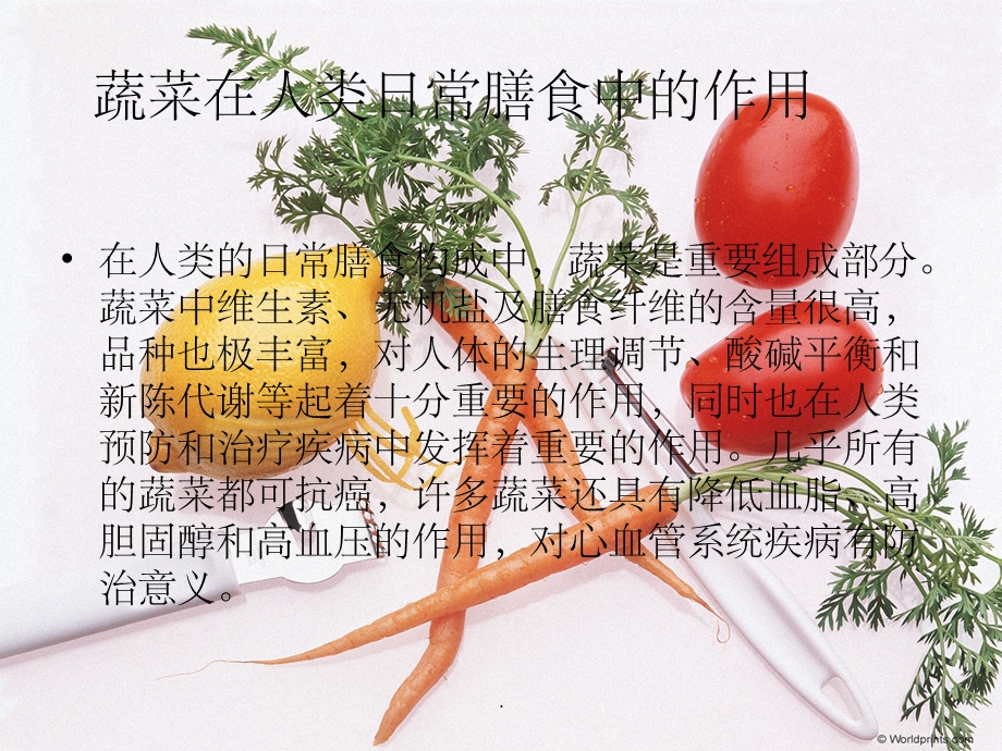 烹饪原料知识(蔬菜)课件.ppt_第3页