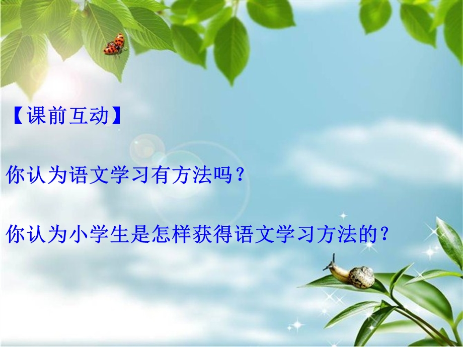 小学生语文学习方法习得策略研究课件.ppt_第2页