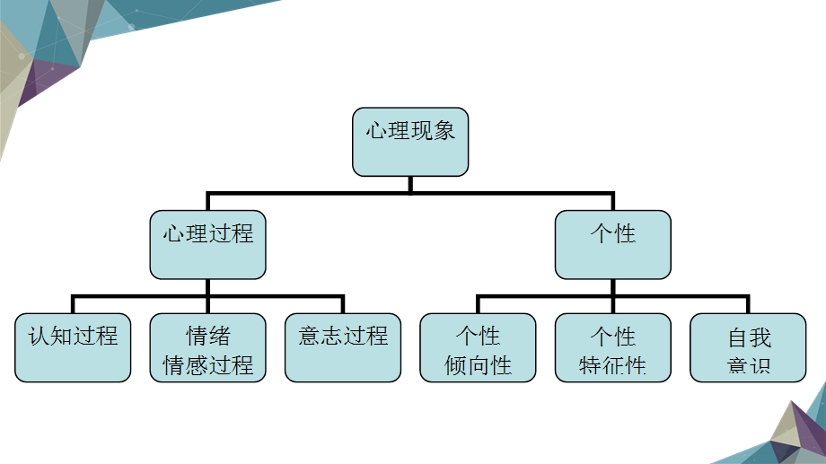 老年人的心理特点课件.pptx_第3页