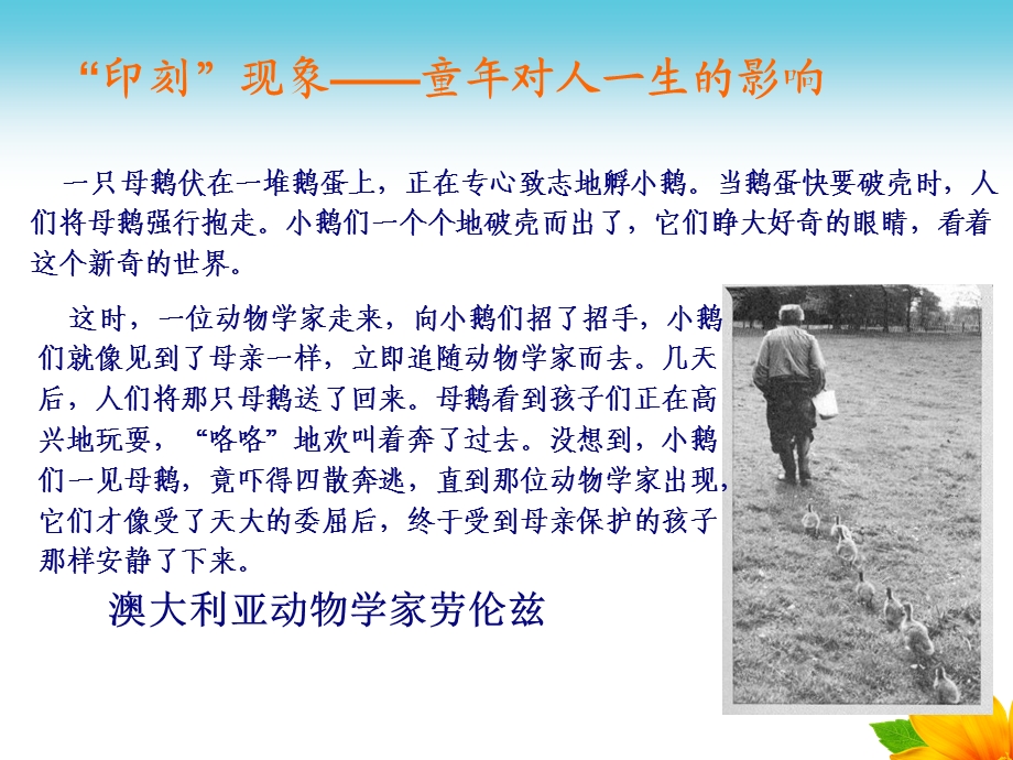 幼儿心理学第一章绪论课件.ppt_第3页