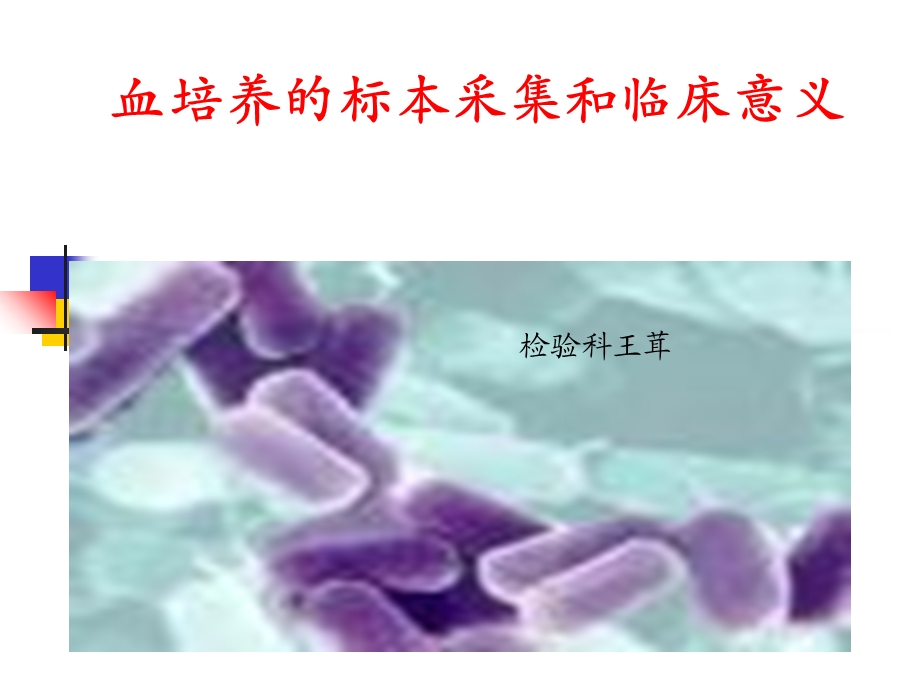 血培养临床意义课件.ppt_第1页