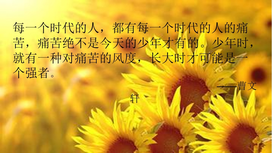 好书推荐青铜葵花课件.ppt_第2页