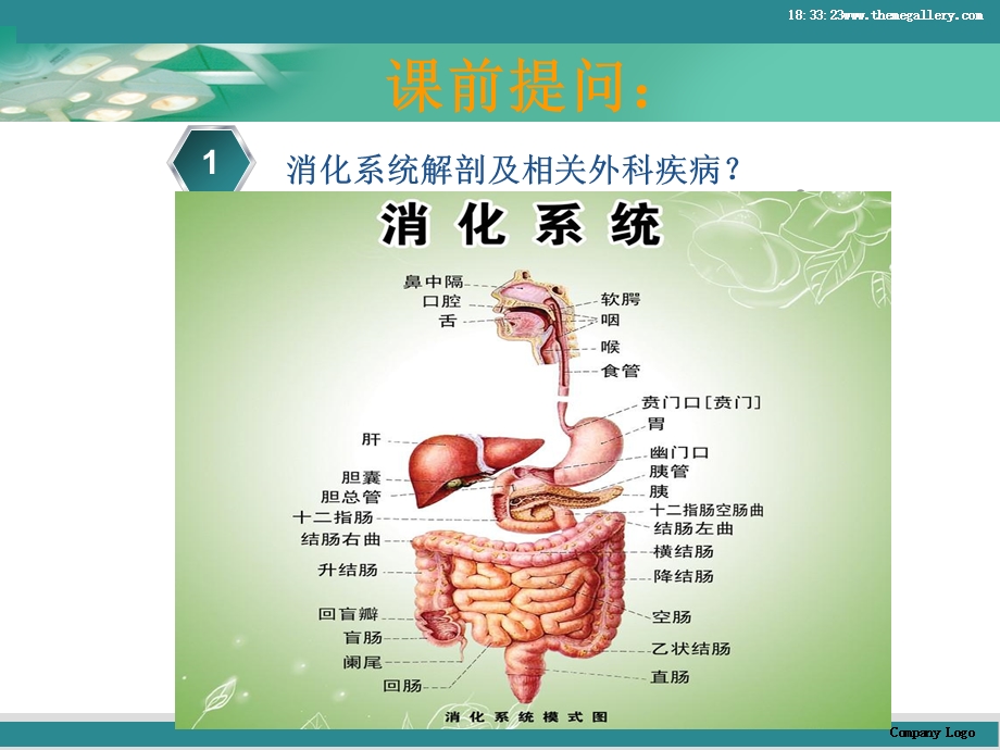 外科痔疮病人的护理ppt课件.ppt_第2页