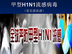 甲型H1N1流感病毒课件.ppt