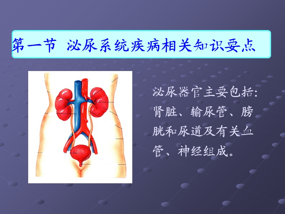 第一节泌尿系统疾病常见症状体征的护理课件.ppt_第2页