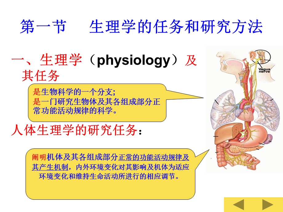 第一章绪论(生理第八版)介绍课件.ppt_第3页