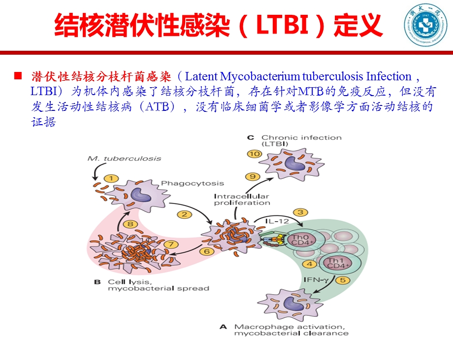 特殊病人的抗结核治疗(温州年会)课件.pptx_第3页