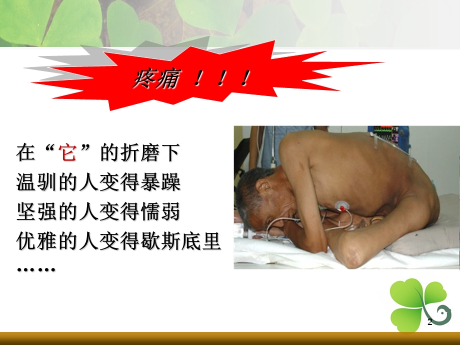 癌症疼痛的护理课件.ppt_第2页