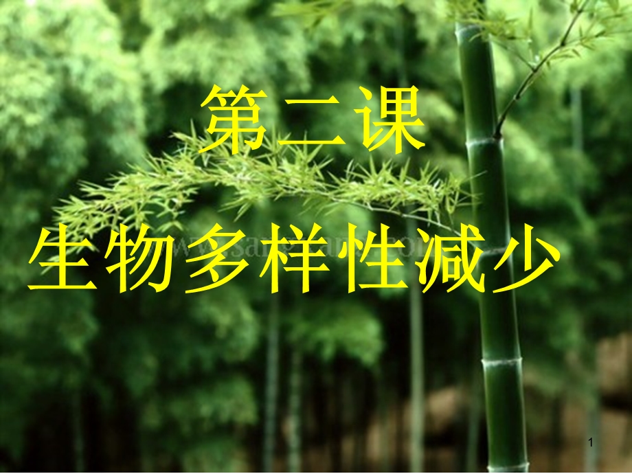 生物多样性减少课件.ppt_第1页