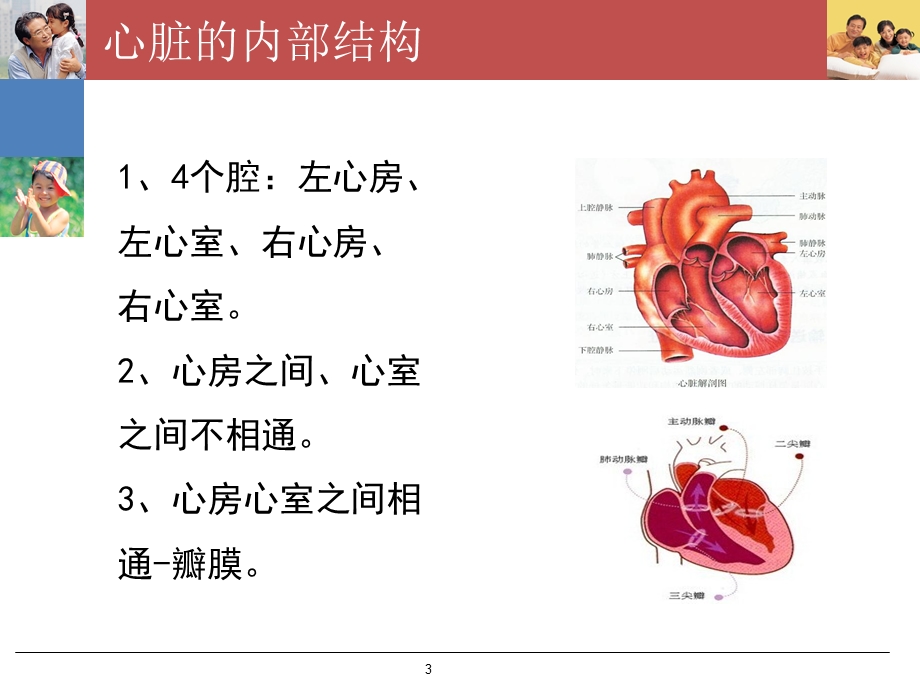 心脏的基础知识课件.pptx_第3页