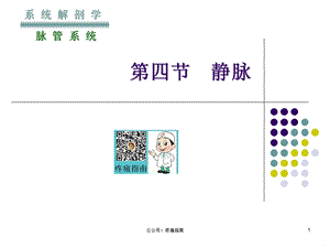 解剖静脉课件.ppt