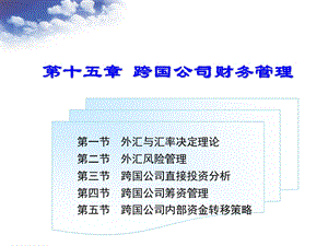 跨国公司财务管理课件.ppt